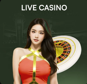 媒体人：大连机场为本地远征及来连观赛球迷开通优先值机柜台